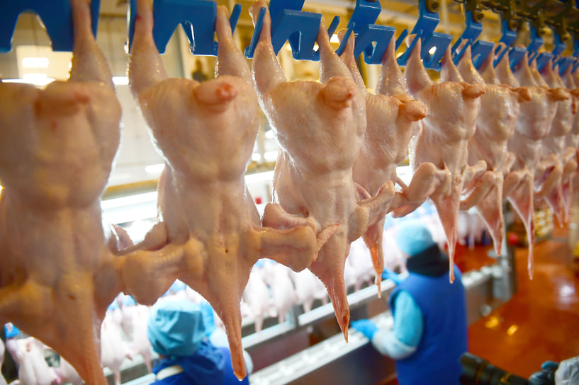 Арбитражный суд Челябинской области признал ООО «Утиные фермы» банкротом в феврале 2019 года