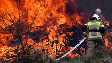 «Включайте разум — не жгите ничего»