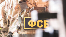 ФСБ задержала сотрудницу челябинской полиции за покровительство «Махонинским»