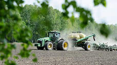 Посевная выросла в цене