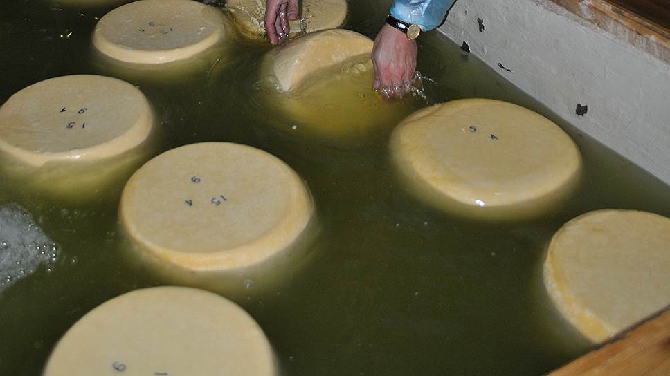 В Свердловской области предложили построить завод 
по производству сыра