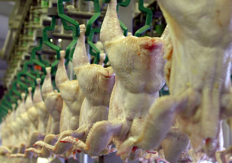 Перенасыщением рынка мяса птиц негативно повлияло на положение птицефабрики «Рефтинская»