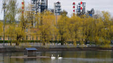 Бизнес зациклился на «зелени»