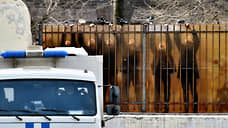 Прессу выберут по договору