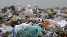 «Придется вникать, смотреть конкурсную документацию»