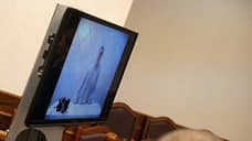 Госизмену оставили под стражей