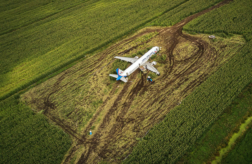 Место аварийной посадки самолета Airbus A321 авиакомпании &quot;Уральские авиалинии&quot;, следовавшего рейсом &quot;Москва — Симферополь&quot; из аэропорта &quot;Жуковский&quot;.

