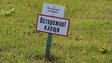 В Свердловской области с начала сезона более 300 человек пострадали от укусов клещей