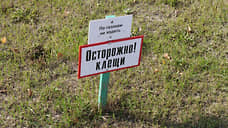 В Свердловской области клещи стали кусать на 16% меньше