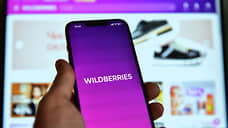 Мэрия Екатеринбурга подала в суд на Wildberries из-за самовольной стройки склада