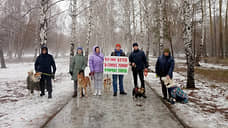 Екатеринбуржцы вышли в парк 50-летия ВЛКСМ и выступили против его застройки