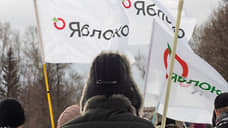 Свердловское молодежное «Яблоко» призвало партию выдвинуть Дунцову в президенты