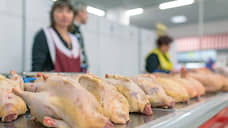 X5 Group восстановила поставки куриного мяса в магазины Екатеринбурга