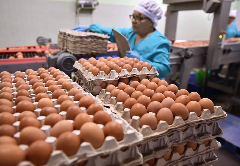 За неделю в Свердловской области средняя стоимость десятка яиц уменьшилась на 0,9%