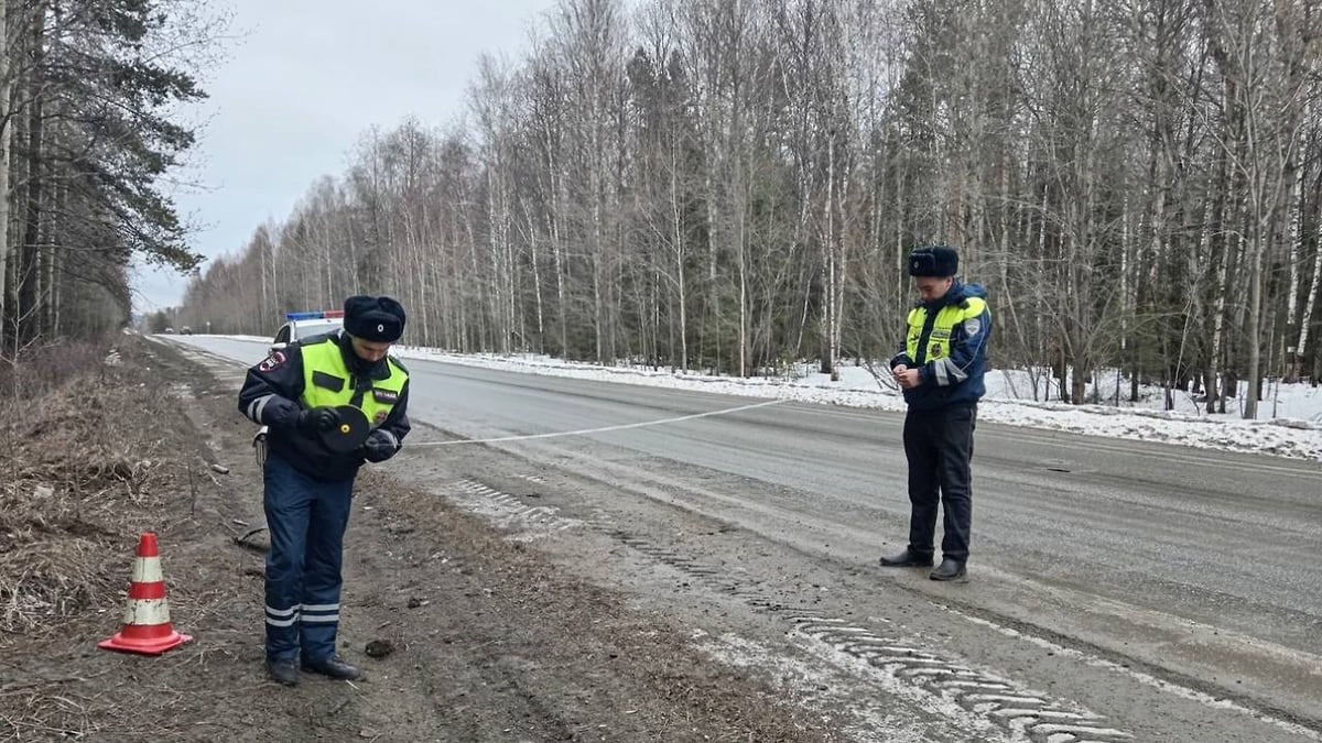 На трассе Нижний Тагил — Нижняя Салда в ДТП с авто пострадал годовалый  мальчик – Коммерсантъ Екатеринбург