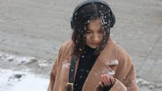 В Екатеринбурге 13 мая прогнозируют снег и дождь