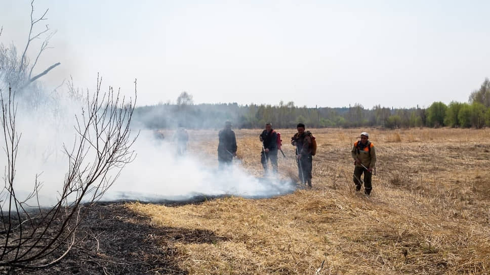 Площадь пожаров в лесах Тюменской области сократилась более чем в 270 раз по сравнению с 2023 годом