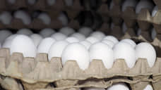 Роспотребнадзор не получал жалоб от екатеринбуржцев, лижущих яйца в магазинах