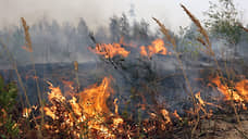 В Тюменской области спустя 12 часов потушили ландшафтный пожар под Тюменью