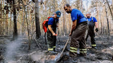 На территории УрФО продолжают действовать три природных пожара