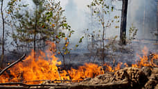 В Свердловской области «Авиалесоохрана» обнаружила три природных пожара