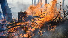 В Свердловской области площадь пожаров, пройденной огнем, сократилась до 28 га