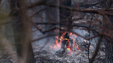 Площадь лесных пожаров в Свердловской области за день выросла почти в три раза