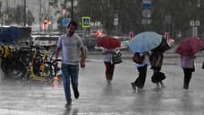 МЧС предупредило о дожде и ветре 25 м/с в Тюменской области