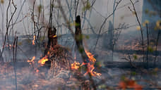В Советском районе Югры ввели режим ЧС из-за лесных пожаров
