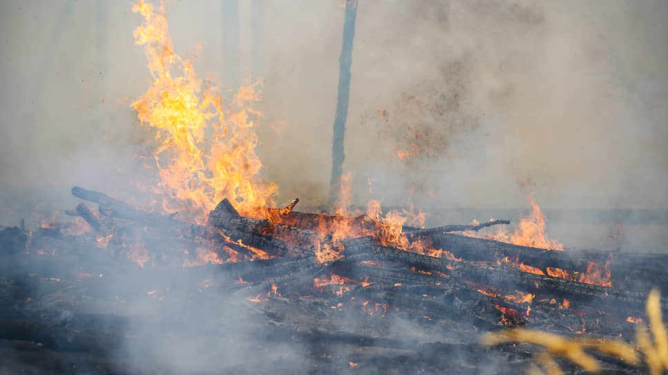 За прошедшие сутки ФБУ «Авиалесоохрана» обнаружила 22 пожара в лесах ХМАО на площади в 1 733 га