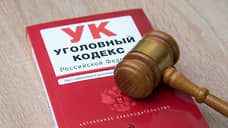 На Урале будут судить мужчину за жестокое убийство кошек, съевших его обед