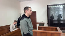 Житель Екатеринбурга получил 10 месяцев колонии за выброшенную из окна собаку