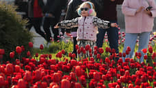 Работы по озеленению Екатеринбурга начнутся с высадки тюльпанов