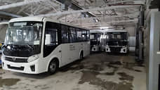 Новые автобусы на 200 млн рублей получат 12 свердловских городов и поселков