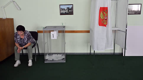На досрочных выборах в Ревде зафиксировано рекордное число наблюдателей