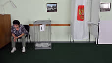 На досрочных выборах в Ревде зафиксировано рекордное число наблюдателей