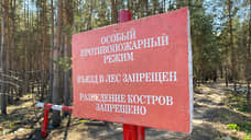 За неделю жители Свердловской области 136 раз нарушили противопожарный режим