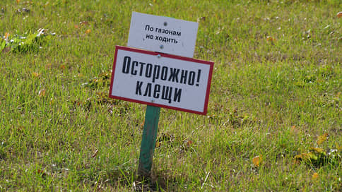 В Свердловской области число пострадавших от укусов клещей выросло в 1,4 раза