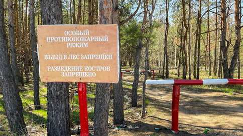 Площадь ландшафтных пожаров в Екатеринбурге сократилась в 42 раза
