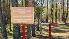 Площадь ландшафтных пожаров в Екатеринбурге сократилась в 42 раза