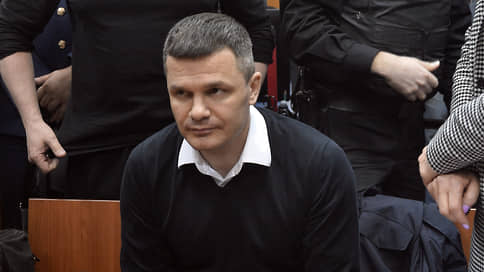 Дмитрий Каменщик обжаловал решение о передаче аэропорта Домодедово государству