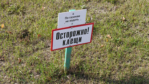 В Свердловской области зарегистрировано 28,2 тыс. случаев укусов клещей