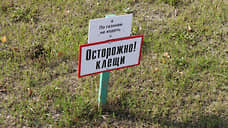 В Свердловской области зарегистрировано 28,2 тыс. случаев укусов клещей