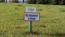 Роспотребнадзор: в Свердловской области снизилась активность клещей