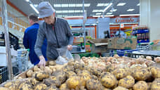 Картофель в Свердловской области подешевел до 37,5 рублей