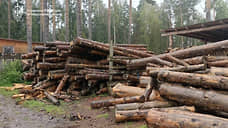ФСБ пресекла рубку леса в «Бажовских местах», ущерб оценили в 450 млн рублей
