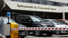 Компания Ирины Чемезовой подала иск к свердловскому дептуризма