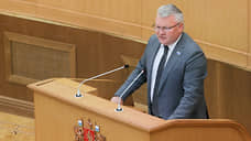 В заксобрании одобрили передачу права по отбору кандидатов в мэры Денису Паслеру