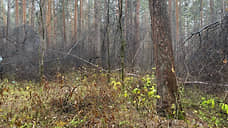 В Екатеринбурге возбудили дело после обнаружения в парке тела женщины без головы