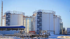 На Ямале запустят первое в России предприятие по производству адипиновой кислоты